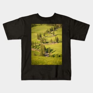 Line of cypress trees in bright sunlight Kids T-Shirt